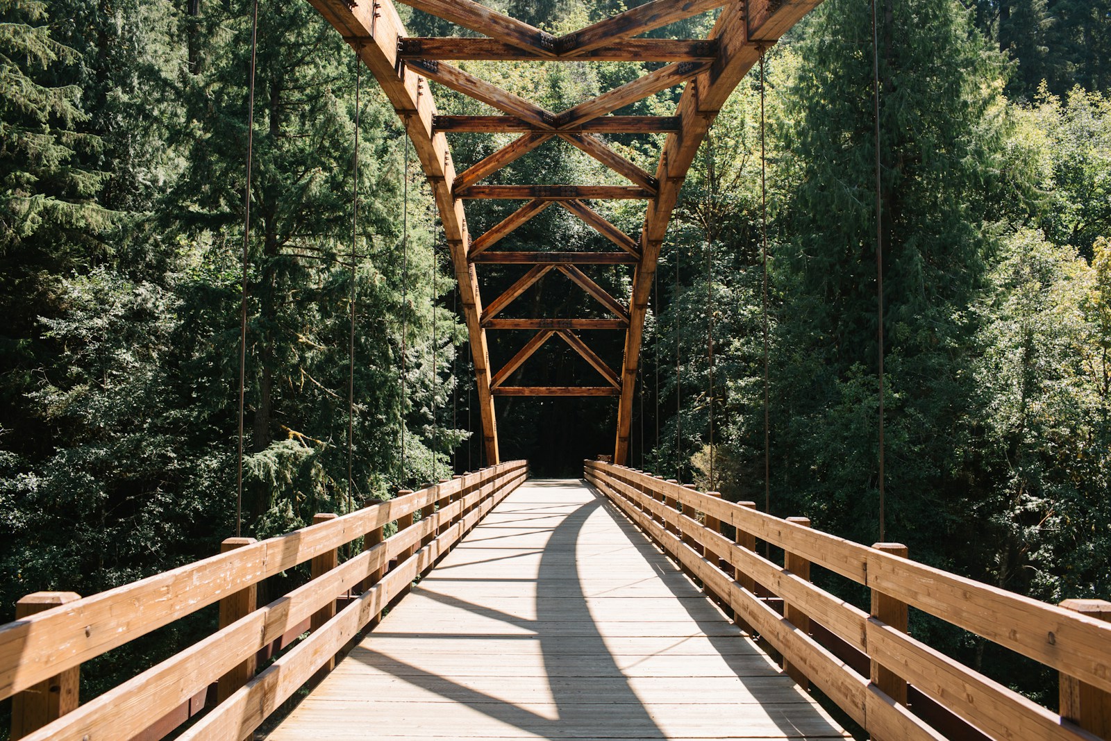 A sunlit wooden footbridge leading into the forest